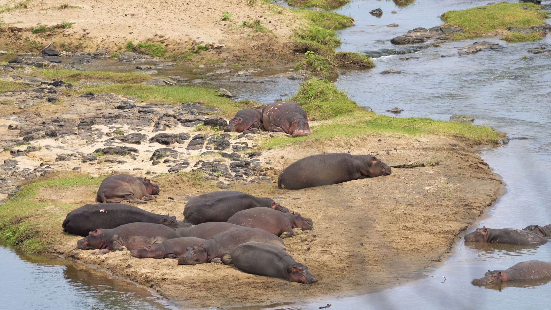 Kruger25 2025 11 04 09 57 50 ILCE 1M2 1544